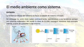 El medio ambiente como sistema.
ENTROPÍA.
La tendencia natural del Universo es hacia un estado de máxima entropía.
Sin embargo los seres vivos nadan contracorriente, oponiéndose a esa tendencia porque
son sistemas ordenados. Ahí reside la clave de la vida: conseguir mantener baja entropía
interior, a costa de aumentar la del entorno.
 