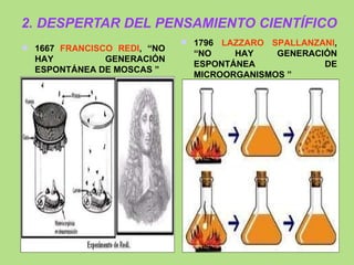2. DESPERTAR DEL PENSAMIENTO CIENTÍFICO 1667  FRANCISCO REDI , “NO HAY GENERACIÓN ESPONTÁNEA DE MOSCAS ” 1796  LAZZARO SPALLANZANI , “NO HAY GENERACIÓN ESPONTÁNEA DE MICROORGANISMOS ” 