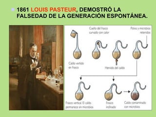 1861  LOUIS PASTEUR , DEMOSTRÓ LA FALSEDAD DE LA GENERACIÓN ESPONTÁNEA. 