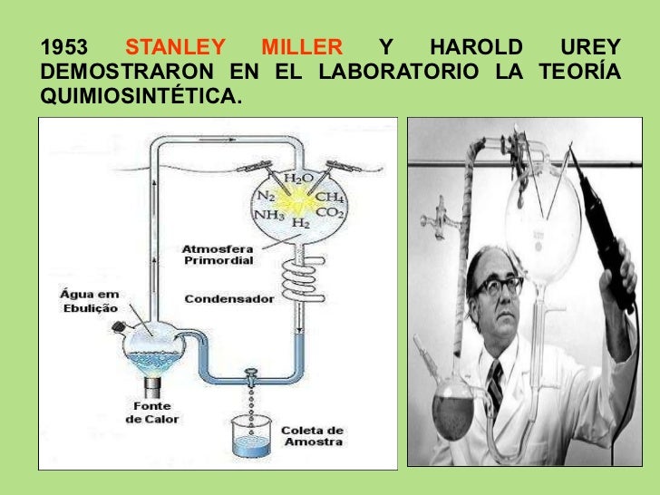 EL ORIGEN DE LA VIDA