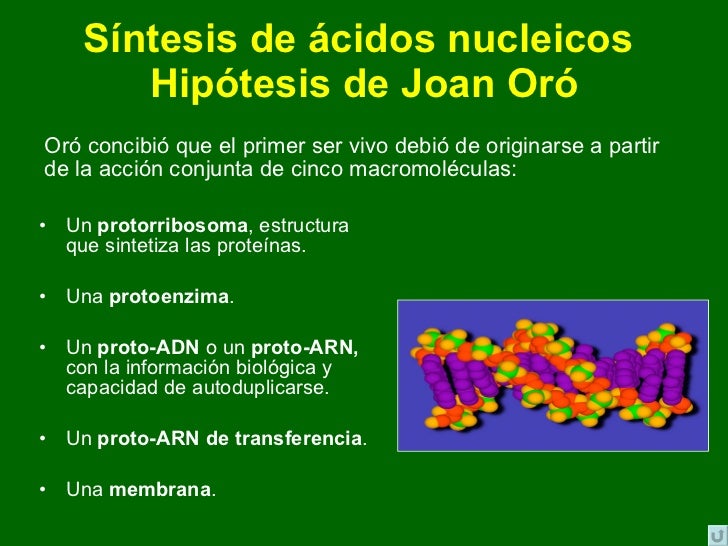 Resultado de imagen de Estructura protop`lasmática de la sopa de la vida