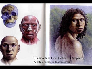 El chico de la Gran Dolina, en Atapuerca. A este chaval, se lo comieron. 