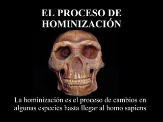 La hominización es el proceso de cambios en algunas especies hasta llegar al homo sapiens EL PROCESO DE HOMINIZACIÓN 