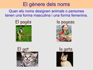 El gènere dels noms Quan els noms designen animals o persones tenen una forma masculina i una forma femenina. El pagès  la pagesa El gat  la gata 