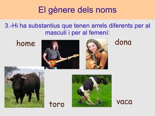El gènere dels noms 3.-Hi ha substantius que tenen arrels diferents per al masculí i per al femení: vaca toro dona home 