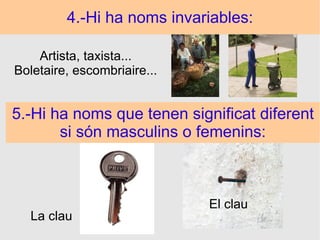 4.-Hi ha noms invariables: Artista, taxista... Boletaire, escombriaire... 5.-Hi ha noms que tenen significat diferent si són masculins o femenins: La clau El clau 