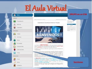 El Aula Virtual GRUPO en un EVA
Secciones
 