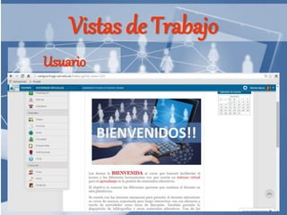 Vistas de Trabajo
Usuario
 
