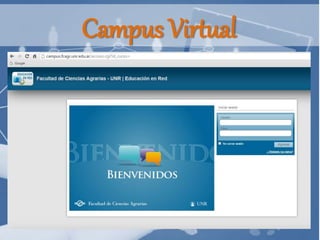 Campus Virtual
 