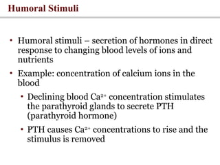 Hormonal Stimulus Example Introduction to Endocrinology Physiology | PPT