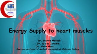 Energy Supply to heart muscles
Dr. Marwa Matboli
Dr. Walaa Ibrahim
Dr. Heba Morsi
Assistant professor of Medical biochemistry& Molecular Biology
 