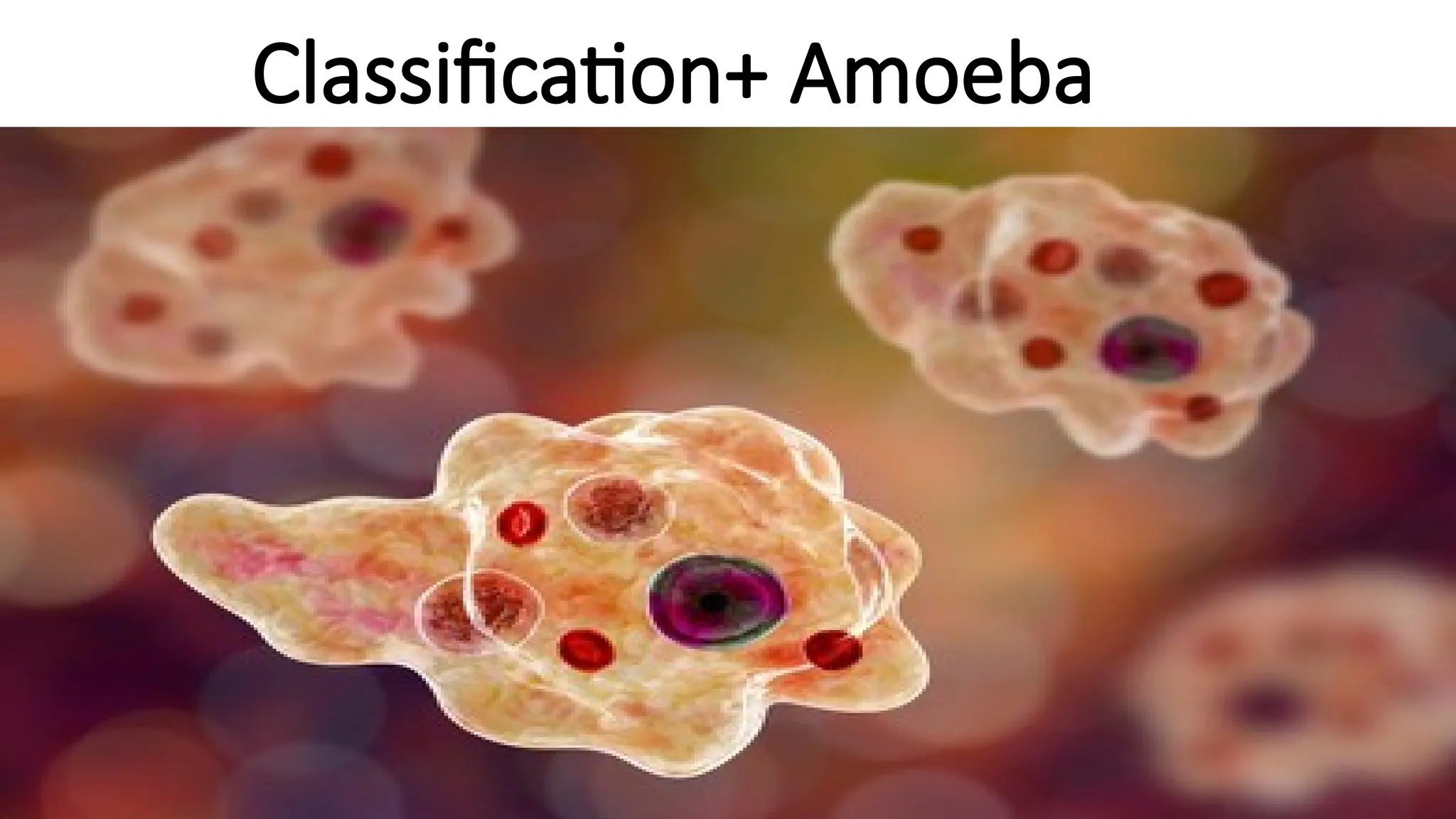 1-Entomeba histolytica.pptx lecture..... | PPTX