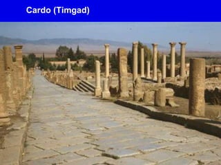 Cardo (Timgad)
 