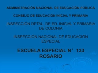 ADMINISTRACIÓN NACIONAL DE EDUCACIÓN PÚBLICA

   CONSEJO DE EDUCACIÓN INICIAL Y PRIMARIA

INSPECCIÓN DPTAL. DE ED. INICIAL Y PRIMARIA
              DE COLONIA

   INSPECCIÓN NACIONAL DE EDUCACIÓN
               ESPECIAL

     ESCUELA ESPECIAL N°133
            ROSARIO
 