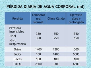 PÉRDIDA DIARIA DE AGUA CORPORAL (ml)
                Temperat                 Ejercicio
   Pérdida        ura    Clima Cálido     duro y
                 Normal                 prolongado
 Pérdidas
 Insensibles
                  350         350          350
 •Piel
                  350         250          650
 •Sist.
 Respiratorio
    Orina         1400       1200          500
    Sudor         100        1400         5000
    Heces         100         100          100
   TOTAL          2300       3300         6600
 