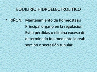 EQUILIRIO HIDROELECTROLITICO

• RIÑON: Mantenimiento de homeostasis
         Principal organo en la regulación
         Evita pérdidas o elimina exceso de
         determinado Ion mediante la reab-
         sorción o secresión tubular.
 