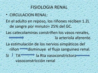 FISIOLOGIA RENAL
• CIRCULACION RENAL:
En el adulto en reposo, los riñones reciben 1.2L
   de sangre por minuto= 25% del GC.
Las catecolaminas constriñen los vasos renales,
                             la arteriola aferente.
La estimulación de los nervios simpáticos del
   riñon     disminuye el flujo sanguineo renal.
Si     TA         la Rta vasoconstrictora
       vasoconstricción renal
 