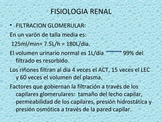FISIOLOGIA RENAL
• FILTRACION GLOMERULAR:
En un varón de talla media es:
 125ml/min= 7.5L/h = 180L/dia.
El volumen urinario normal es 1L/día           99% del
   filtrado es resorbido.
Los riñones filtran al dia 4 veces el ACT, 15 veces el LEC
   y 60 veces el volumen del plasma.
Factores que gobiernan la filtración a través de los
   capilares glomerulares: tamaño del lecho capilar,
   permeabilidad de los capilares, presión hidrostática y
   presión osmótica a través de la pared capilar.
 