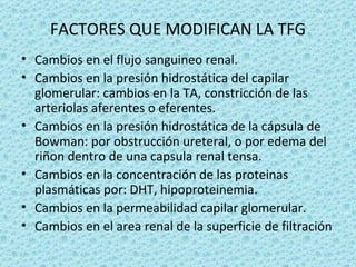 FACTORES QUE MODIFICAN LA TFG
• Cambios en el flujo sanguineo renal.
• Cambios en la presión hidrostática del capilar
  glomerular: cambios en la TA, constricción de las
  arteriolas aferentes o eferentes.
• Cambios en la presión hidrostática de la cápsula de
  Bowman: por obstrucción ureteral, o por edema del
  riñon dentro de una capsula renal tensa.
• Cambios en la concentración de las proteinas
  plasmáticas por: DHT, hipoproteinemia.
• Cambios en la permeabilidad capilar glomerular.
• Cambios en el area renal de la superficie de filtración
 