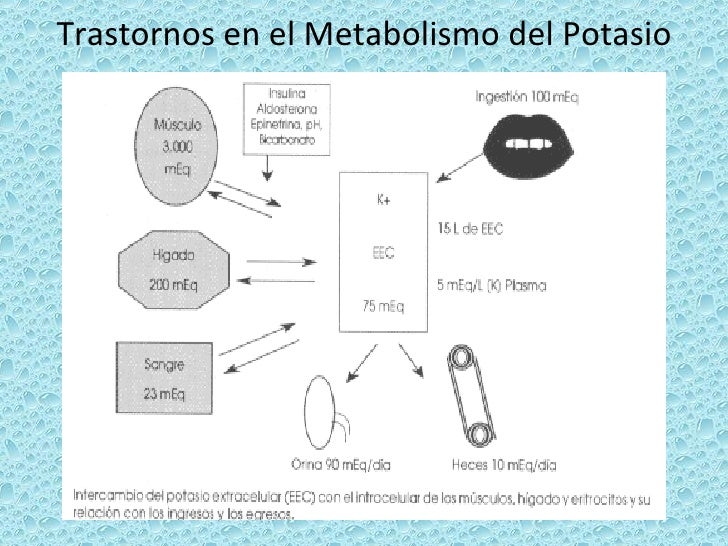 Maniquíes aproximadamente tasa de metabolismo basal definicion