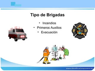 Tipo de Brigadas Incendios Primeros Auxilios Evacuación 