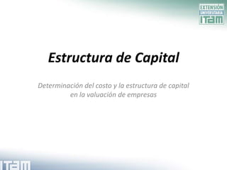 Estructura de Capital,[object Object],Determinación del costo y la estructura de capital en la valuación de empresas,[object Object]