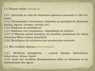 1.3. Trazem várias vantagens:

1.3.1. Intervêm no ciclo de elementos químicos essenciais à vida (ex.
azoto)
1.3.2. Fermentações bacterianas utilizadas na produção de alimentos
(queijo, iogurte, vinagre, cerveja, etc.)
1.3.3. Produção de antibióticos
1.3.4. Simbiose com ruminantes – degradação da celulose
1.3.5. O Homem possui bactérias no intestino produtoras de várias
vitaminas (flora e fauna intestinal)
1.3.6. Reciclagem de nutrientes nos ecossistemas naturais

1.4. Mas também algumas desvantagens:

1.4.1. Bactérias patogénicas – causam doenças (pneumonia,
tuberculose, tétano, lepra)
1.4.2. Acção das bactérias decompositoras sobre os alimentos ou na
contaminação das águas
                                                                        20
 