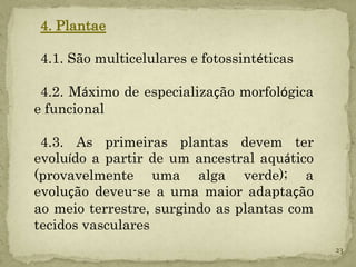 4. Plantae

4.1. São multicelulares e fotossintéticas

 4.2. Máximo de especialização morfológica
e funcional

 4.3. As primeiras plantas devem ter
evoluído a partir de um ancestral aquático
(provavelmente uma alga verde); a
evolução deveu-se a uma maior adaptação
ao meio terrestre, surgindo as plantas com
tecidos vasculares
                                             23
 