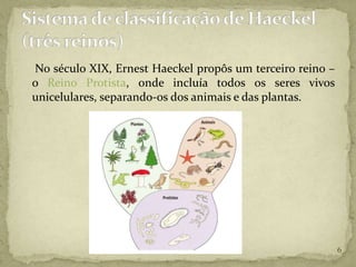 No século XIX, Ernest Haeckel propôs um terceiro reino –
o Reino Protista, onde incluía todos os seres vivos
unicelulares, separando-os dos animais e das plantas.




                                                           6
 