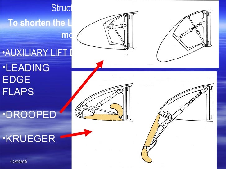 1 Evolution And Type Of Structures