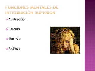 Funciones mentales de integración superiorAbstracciónCálculoSíntesisAnálisis