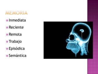 MemoriaInmediataRecienteRemotaTrabajoEpisódicaSemántica
