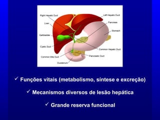  Funções vitais (metabolismo, síntese e excreção)
 Mecanismos diversos de lesão hepática
 Grande reserva funcional
 