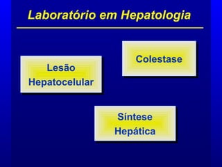 Laboratório em Hepatologia
Lesão
Hepatocelular
Lesão
Hepatocelular
Síntese
Hepática
Síntese
Hepática
ColestaseColestase
 