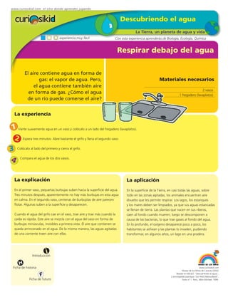 www.curiosikid.com el sitio donde aprendes jugando


                                                                               Descubriendo el agua
                                                                                        La Tierra, un planeta de agua y vida
                                   experiencia muy fácil                   Con esta experiencia aprenderás de Biología, Ecología, Química


                                                                               Respirar debajo del agua

          El aire contiene agua en forma de
                  gas: el vapor de agua. Pero,                                                           Materiales necesarios
               el agua contiene también aire
                                                                                                                                         2 vasos
            en forma de gas. ¿Cómo el agua                                                                               1 fregadero (lavaplatos)
           de un río puede comerse el aire?


   La experiencia

1 Vierte suavemente agua en un vaso y colócalo a un lado del fregadero (lavaplatos).
 2 Espera tres minutos. Abre bastante el grifo y llena el segundo vaso.
3 Colócalo al lado del primero y cierra el grifo.
4 Compara el agua de los dos vasos.

   La explicación                                                                 La aplicación
   En el primer vaso, pequeñas burbujas suben hacia la superficie del agua.       En la superficie de la Tierra, en casi todas las aguas, sobre
   Tres minutos después, aparentemente no hay más burbujas en esta agua           todo en las zonas agitadas, los animales encuentran aire
   en calma. En el segundo vaso, centenas de burbujitas de aire parecen           disuelto que les permite respirar. Los lagos, los estanques
   flotar. Algunas suben a la superficie y desaparecen.                           y los mares deben ser limpiados, ya que sus aguas estancadas
                                                                                  se llenan de tierra. Las plantas que nacen en sus riberas,
   Cuando el agua del grifo cae en el vaso, trae aire y trae más cuando la        caen al fondo cuando mueren; luego se descomponen a
   caída es rápida. Este aire se mezcla con el agua del vaso en forma de          causa de las bacterias, lo que trae gases al fondo del agua.
   burbujas minúsculas, invisibles a primera vista. El aire que contienen se      En lo profundo, el oxígeno desaparece poco a poco, los
   queda arrinconado en el agua. De la misma manera, las aguas agitadas           habitantes se asfixian y las plantas lo invaden, pudiendo
   de una corriente traen aire con ellas.                                         transformar, en algunos años, un lago en una pradera.




                          i
                Introducción

      H
  Ficha de historia                                                                                                                           www.curiosikid.com
                                                                                                                            Museo de los Niños de Caracas (2002)

                      F                                                                                               Basado en MILSET: "Descubriendo el agua",
                                                                                                                 L'enciclopédie practique "Les Petit Debrouillards",
             Ficha de futuro                                                                                                Tomo nº 1. Paris, Albin Michael, 1999.
 