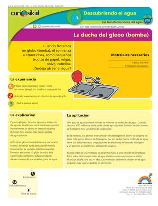 www.curiosikid.com el sitio donde aprendes jugando


                                                                             Descubriendo el agua
                                                                                                Las transformaciones del agua
                                  experiencia simple                      Con esta experiencia aprenderás de Química


                                                                  La ducha del globo (bomba)

                           Cuando frotamos
             un globo (bomba), él comienza
             a atraer cosas, como pequeños                                                                Materiales necesarios
                   trocitos de papel, migas,
                                                                                                                                 1 globo (bomba)
                             polvo, cabellos.
                                                                                                                          1 fregadero (lavaplatos)
                    ¿Se deja atraer el agua?


  La experiencia

 1    Infla el globo (bomba) y frótalo contra
      un sweter (jersey), tus cabellos o una pared lisa.

2     Acércalo suavemente a un chorrito de agua de grifo.


 3     ¿Qué le pasa al agua?




  La explicación                                            La aplicación
  Cuando el globo (bomba) se acerca, el chorrito            Una gota de agua contiene millares de millones de moléculas de agua. Cuando
  de agua es atraído; en vez de continuar cayendo           decimos H2O hablamos de la molécula de agua que está formada de dos átomos
  normalmente, se desvía en dirección al globo              de hidrógeno (H) y un átomo de oxígeno (O).
  (bomba). Si lo acercas más, caerán gotitas
  de agua sobre él.                                         En la molécula, los átomos intercambian electrones pero el átomo de oxígeno los
                                                            atrae más que los átomos de hidrógeno; por eso se dice que la molécula de agua
  Al frotar el globo (bomba) lo hemos electrizado,          tiene dos polos eléctricos: un polo pobre en electrones del lado del hidrógeno
  es decir, le hemos dado partículas de materia             y un polo rico en electrones, del lado del oxígeno.
  provenientes de las telas, cabellos o paredes,
  llamados electrones. El globo (bomba) está                El polo pobre de una molécula se atrae más hacia el polo rico de otra molécula.
  cubierto de electrones y ésta acumulación                 Estos polos eléctricos permiten al agua disolver numerosas sustancias como
  de electrones es lo que atrae las gotas de agua.          el azúcar, el café, o la sal, en ellas. Las moléculas también se dividen en el agua
                                                            en partes ricas y partes pobres en electrones.




                         i
               Introducción

     H
 Ficha de historia                                                                                                                             www.curiosikid.com
                                                                                                                             Museo de los Niños de Caracas (2002)

                     F                                                                                                 Basado en MILSET: "Descubriendo el agua",
                                                                                                                  L'enciclopédie practique "Les Petit Debrouillards",
            Ficha de futuro                                                                                                  Tomo nº 1. Paris, Albin Michael, 1999.
 