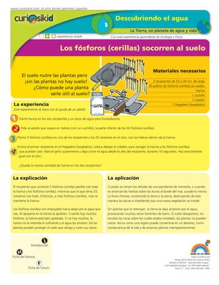 www.curiosikid.com el sitio donde aprendes jugando


                                                                             Descubriendo el agua
                                                                                        La Tierra, un planeta de agua y vida
                                   experiencia simple                     Con esta experiencia aprenderás de Ecología y Física


                                     Los fósforos (cerillas) socorren al suelo


                                                                                                          Materiales necesarios
        El suelo nutre las plantas pero
         ¡sin las plantas no hay suelo!                                                                  2 recipientes de 25 a 30 cm. de largo
                                                                                                      30 palitos de fósforos (cerillas) ya usados
              ¿Cómo puede una planta
                                                                                                                                           Harina
                      serle útil al suelo?                                                                                              1 cuchillo
                                                                                                                                        1 colador
  La experiencia                                                                                                        1 fregadero (lavaplatos)
  Este experimento se hace con la ayuda de un adulto


 1 Vierte harina en los dos recipientes y un poco de agua para humedecerla.
 2 Pide al adulto que separe en hebras (con un cuchillo), la parte inferior de los 30 fósforos (cerillas).
3 Planta 5 fósforos (cerillas) en uno de los recipientes y los 25 restantes en el otro, con las hebras dentro de la harina.
    Inclina el primer recipiente en el fregadero (lavaplatos); coloca debajo el colador, para recoger la harina y los fósforos (cerillas)
4     que puedan caer. Abre el grifo suavemente y deja correr el agua desde lo alto del recipiente, durante 10 segundos. Haz exactamente
     igual con el otro.

      ¿Queda la misma cantidad de harina en los dos recipientes?



 La explicación                                                         La aplicación
 El recipiente que contenía 5 fósforos (cerillas) perdió casi toda      Cuando se cortan los árboles de una pendiente de montaña, o cuando
 la harina y los fósforos (cerillas); mientras que el que tenía 25,     se arrancan las hierbas sobre las dunas al borde del mar, sucede lo mismo.
 conservó casi todo. Entonces, a más fósforos (cerillas), más se        La lluvia chorrea, arrastrando la tierra o la arena; destruyendo de esta
 mantiene la harina.                                                    manera las dunas e impidiendo que una nueva vegetación se instale.

 Los fósforos (cerillas) son empujados hacia abajo por el agua que      Sin plantas que lo retengan, la tierra se deja arrastrar por el agua,
 cae. Al apoyarse en la harina la aprietan. Cuando hay muchos           provocando muchas veces torrentes de barro. El suelo desaparece, no
 fósforos, la harina está bien apretada. Si no hay muchos, la           recubre las rocas sobre las cuales estaba instalado, las plantas no pueden
 harina no es retenida lo suficiente y el agua los arrastra. Así las    crecer. Así es como una región puede convertirse en un desierto, como
 plantas pueden proteger el suelo que abriga y nutre sus raíces.        consecuencia de la tala y de arrancar plantas intempestivamente.



                         i
               Introducción

     H
 Ficha de historia                                                                                                                             www.curiosikid.com
                                                                                                                             Museo de los Niños de Caracas (2002)

                     F                                                                                                 Basado en MILSET: "Descubriendo el agua",
                                                                                                                  L'enciclopédie practique "Les Petit Debrouillards",
            Ficha de futuro                                                                                                  Tomo nº 1. Paris, Albin Michael, 1999.
 