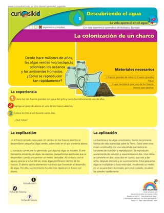 www.curiosikid.com el sitio donde aprendes jugando


                                                                                Descubriendo el agua
                                                                                                  La vida apareció en el agua
                                  experiencia compleja                   Con esta experiencia aprenderás de Biología y Ecología


                                                                 La colonización de un charco


                Desde hace millones de años,
               las algas verdes microscópicas
                   colonizan los océanos
                                                                                                       Materiales necesarios
            y los ambientes húmedos.
                 ¿Cómo se reproducen                                                          3 frascos grandes de vidrio (ó 3 vasos grandes)
                     tan rápidamente?                                                                                                   Agua
                                                                                                    1 tapa hermética para uno de los frascos
                                                                                                                         Abono para plantas
  La experiencia

 1 Llena los tres frascos grandes con agua del grifo y cierra herméticamente uno de ellos.
2 Agrega un poco de abono en uno de los frascos abiertos.
3 Coloca los tres al sol durante varios días.
      ¿Qué notas?




  La explicación                                                                  La aplicación
  En el frasco cerrado nada pasó. En cambio en los frascos abiertos se            Las bacterias y las algas unicelulares, fueron las primeras
  desarrollaron pequeñas algas verdes, sobre todo en el que contenía abono.       formas de vida aparecidas sobre la Tierra. Estos seres vivos
                                                                                  están constituidos por una sola célula que realiza las
  El contacto con el aire ha permitido que algunas algas se instalen. El aire     funciones de nutrición y reproducción. Se reproducen
  transporta simientes de algas: las esporas, pequeñísimas partículas que se      aumentando de volumen y separándose en dos. Una célula
  desarrollan cuando encuentran un medio favorable. Al contacto con el            se convierte en dos; estas dos en cuatro, que van a dar
  agua y gracias a la luz del sol, estas algas proliferaron dentro de los         ocho, después dieciséis y así sucesivamente. Estas pequeñas
  frascos. El abono aporta elementos nutritivos que favorecen el desarrollo       algas se multiplican a toda velocidad, invadiendo su medio:
  de algas. Por ello, su crecimiento ha sido más rápido en el frasco con          en un acuario bien iluminado, pero mal cuidado, recubren
  abono.                                                                          las paredes rápidamente.


                         i
               Introducción

     H
 Ficha de historia                                                                                                                          www.curiosikid.com
                                                                                                                          Museo de los Niños de Caracas (2002)

                     F                                                                                              Basado en MILSET: "Descubriendo el agua",
                                                                                                               L'enciclopédie practique "Les Petit Debrouillards",
            Ficha de futuro                                                                                               Tomo nº 1. Paris, Albin Michael, 1999.
 