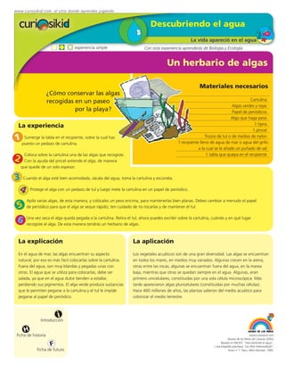 www.curiosikid.com el sitio donde aprendes jugando


                                                                             Descubriendo el agua
                                                                                                    La vida apareció en el agua
                                  experiencia simple                      Con esta experiencia aprenderás de Biología y Ecología


                                                                                       Un herbario de algas

                                                                                                         Materiales necesarios
                     ¿Cómo conservar las algas
                     recogidas en un paseo                                                                                             Cartulina
                                                                                                                             Algas verdes y rojas
                               por la playa?                                                                                 Papel de periódicos
                                                                                                                            Algo que haga peso
                                                                                                                                         1 tijera
  La experiencia
                                                                                                                                        1 pincel

1 puesto un pedazo de cartulina. sobre la cual has
   Sumerge la tabla en el recipiente,                                                                        Trozos de tul o de medias de nylon
                                                                                             1 recipiente lleno de agua de mar o agua del grifo
                                                                                                         a la cual se le añade un puñado de sal

2
     Coloca sobre la cartulina una de las algas que recogiste.                                                1 tabla que quepa en el recipiente
     Con la ayuda del pincel extiende el alga, de manera
    que quede de un solo espesor.

3 Cuando el alga esté bien acomodada, sácala del agua, toma la cartulina y escúrrela.
 4 Protege el alga con un pedazo de tul y luego mete la cartulina en un papel de periódico.
       Apila varias algas, de esta manera, y colócales un peso encima, para mantenerlas bien planas. Debes cambiar a menudo el papel
 5     de periódico para que el alga se seque rápido; ten cuidado de no tocarlas y de mantener el tul.


 6     Una vez seca el alga queda pegada a la cartulina. Retira el tul, ahora puedes escribir sobre la cartulina, cuándo y en qué lugar
       recogiste el alga. De esta manera tendrás un herbario de algas.



  La explicación                                                   La aplicación
  En el agua de mar, las algas encuentran su aspecto               Los vegetales acuáticos son de una gran diversidad. Las algas se encuentran
  natural; por eso es más fácil colocarlas sobre la cartulina.     en todos los mares, en medios muy variados. Algunas crecen en la arena,
  Fuera del agua, son muy blandas y pegadas unas con               otras entre las rocas; algunas se encuentran fuera del agua, en la marea
  otras. El agua que se utiliza para colocarlas, debe ser          baja, mientras que otras se quedan siempre en el agua. Algunas, eran
  salada, ya que en el agua dulce tienden a estallar,              primero unicelulares, constituidas por una sola célula microscópica. Más
  perdiendo sus pigmentos. El alga verde produce sustancias        tarde aparecieron algas pluricelulares (constituídas por muchas células).
  que le permiten pegarse a la cartulina y el tul le impide        Hace 400 millones de años, las plantas salieron del medio acuático para
  pegarse al papel de periódico.                                   colonizar el medio terrestre.



                          i
               Introducción

     H
 Ficha de historia                                                                                                                             www.curiosikid.com
                                                                                                                             Museo de los Niños de Caracas (2002)

                      F                                                                                                Basado en MILSET: "Descubriendo el agua",
                                                                                                                  L'enciclopédie practique "Les Petit Debrouillards",
             Ficha de futuro                                                                                                 Tomo nº 1. Paris, Albin Michael, 1999.
 