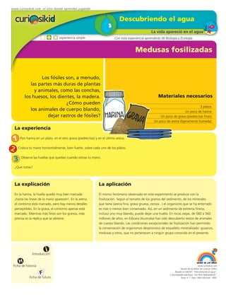 www.curiosikid.com el sitio donde aprendes jugando


                                                                          Descubriendo el agua
                                                                                                La vida apareció en el agua
                                 experiencia simple                    Con esta experiencia aprenderás de Biología y Ecología


                                                                                     Medusas fosilizadas


                  Los fósiles son, a menudo,
             las partes más duras de plantas
               y animales, como las conchas,
          los huesos, los dientes, la madera.                                                        Materiales necesarios
                              ¿Cómo pueden
                                                                                                                                 3 platos
             los animales de cuerpo blando,                                                                            Un poco de harina
                     dejar rastros de fósiles?                                                        Un poco de grava (piedrecitas finas)
                                                                                                  Un poco de arena (ligeramente húmeda)

  La experiencia

 1 Pon harina en un plato, en el otro grava (piedrecitas) y en el último arena.
2 Coloca tu mano horizontalmente, bien fuerte, sobre cada uno de los platos.
 3 Observa las huellas que quedan cuando retiras tu mano.
  ¿Qué notas?




  La explicación                                            La aplicación
  En la harina, la huella quedó muy bien marcada            El mismo fenómeno observado en este experimento se produce con la
  ¡hasta las líneas de la mano aparecen!. En la arena,      fosilización. Según el tamaño de los granos del sedimento, de los minerales
  el contorno está marcado, pero hay menos detalles         que tiene (arena fina, grava gruesa, ceniza...) el organismo que se ha enterrado
  perceptibles. En la grava, el contorno apenas está        es más o menos bien conservado. Así, en un sedimento de extrema fineza,
  marcado. Mientras más finos son los granos, más           incluso uno muy blando, puede dejar una huella. En rocas viejas, de 580 a 560
  precisa es la réplica que se obtiene.                     millones de años, en Edicara (Australia) han sido descubierto restos de animales
                                                            de cuerpo blando. Las condiciones excepcionales de fosilización han permitido
                                                            la conservación de organismos desprovistos de esqueleto mineralizado: gusanos,
                                                            medusas y otros, que no pertenecen a ningún grupo conocido en el presente.




                          i
                Introducción

      H
  Ficha de historia                                                                                                                       www.curiosikid.com
                                                                                                                        Museo de los Niños de Caracas (2002)

                      F                                                                                           Basado en MILSET: "Descubriendo el agua",
                                                                                                             L'enciclopédie practique "Les Petit Debrouillards",
             Ficha de futuro                                                                                            Tomo nº 1. Paris, Albin Michael, 1999.
 