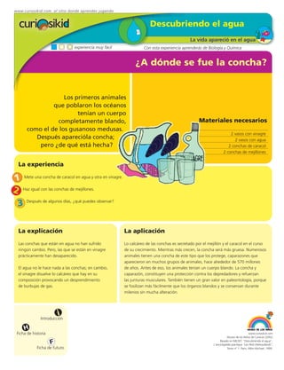 www.curiosikid.com el sitio donde aprendes jugando


                                                                        Descubriendo el agua
                                                                                               La vida apareció en el agua
                                experiencia muy fácil                Con esta experiencia aprenderás de Biología y Química


                                                                ¿A dónde se fue la concha?


                    Los primeros animales
                que poblaron los océanos
                         tenían un cuerpo
                 completamente blando,                                                              Materiales necesarios
       como el de los gusanoso medusas.
                                                                                                                        2 vasos con vinagre
          Después aparecióla concha;                                                                                      2 vasos con agua
           pero ¿de qué está hecha?                                                                                    2 conchas de caracol
                                                                                                                    2 conchas de mejillones


  La experiencia

1 Mete una concha de caracol en agua y otra en vinagre.
2 Haz igual con las conchas de mejillones.
 3 Después de algunos días, ¿qué puedes observar?

  La explicación                                          La aplicación
  Las conchas que están en agua no han sufrido            Lo calcáreo de las conchas es secretado por el mejillón y el caracol en el curso
  ningún cambio. Pero, las que se están en vinagre        de su crecimiento. Mientras más crecen, la concha será más gruesa. Numerosos
  prácticamente han desaparecido.                         animales tienen una concha de este tipo que los protege, caparazones que
                                                          aparecieron en muchos grupos de animales, hace alrededor de 570 millones
  El agua no le hace nada a las conchas; en cambio,       de años. Antes de eso, los animales tenían un cuerpo blando. La concha y
  el vinagre disuelve lo calcáreo que hay en su           caparazón, constituyen una protección contra los depredadores y refuerzan
  composición provocando un desprendimiento               las junturas musculares. También tienen un gran valor en paleontología, porque
  de burbujas de gas.                                     se fosilizan más fácilmente que los órganos blandos y se conservan durante
                                                          milenios sin mucha alteración.




                         i
               Introducción

     H
 Ficha de historia                                                                                                                       www.curiosikid.com
                                                                                                                       Museo de los Niños de Caracas (2002)

                     F                                                                                           Basado en MILSET: "Descubriendo el agua",
                                                                                                            L'enciclopédie practique "Les Petit Debrouillards",
            Ficha de futuro                                                                                            Tomo nº 1. Paris, Albin Michael, 1999.
 