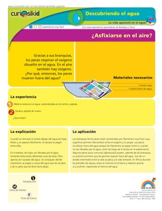 www.curiosikid.com el sitio donde aprendes jugando


                                                                           Descubriendo el agua
                                                                                                  La vida apareció en el agua
                                experiencia muy fácil                  Con esta experiencia aprenderás de Biología y Física


                                                                                 ¿Asfixiarse en el aire?


                    Gracias a sus branquias,
               los peces respiran el oxígeno
              disuelto en el agua. En el aire
                      también hay oxígeno.
              ¿Por qué, entonces, los peces
             mueren fuera del agua?                                                                    Materiales necesarios

                                                                                                                                 1 revista vieja
                                                                                                                        1 bañera llena de agua


  La experiencia

1 Mete la revista en el agua, sosteniéndola en el centro y agítala.
2 Sácala y agítala de nuevo.
    ¿Qué notas?




  La explicación                                              La aplicación
  Cuando se remueve la revista debajo del agua las hojas      Las branquias de los peces están constituídas por filamentos muy finos cuya
  flotan y se separan fácilmente. Al sacarla se pegan         superficie permite intercambios entre el oxígeno y la sangre. Los peces
  entre ellas.                                                se asfixian fuera del agua porque los filamentos se pegan entre sí, cuando
                                                              no son llevados por el agua; como las hojas de la revista en el experimento.
  En la bañera, las hojas son llevadas por el agua,           Algunos peces poco comunes (dipneustos) poseen, además de las branquias,
  tomando direcciones diferentes unas de otras. Pero          un pulmón primitivo que les permite respirar fuera del agua. Son de un
  apenas son sacadas del agua, no consiguen dónde             estado intermedio entre la vida acuática y la vida terrestre. En África durante
  sostenerse; se pegan a causa del agua que las recubre       los períodos de sequía, estos se internan en el barro y respiran gracias
  y de su peso que las lleva hacia abajo.                     a su pulmón, esperando el retorno del agua.




                         i
               Introducción

     H
 Ficha de historia                                                                                                                          www.curiosikid.com
                                                                                                                          Museo de los Niños de Caracas (2002)

                     F                                                                                              Basado en MILSET: "Descubriendo el agua",
                                                                                                               L'enciclopédie practique "Les Petit Debrouillards",
            Ficha de futuro                                                                                               Tomo nº 1. Paris, Albin Michael, 1999.
 