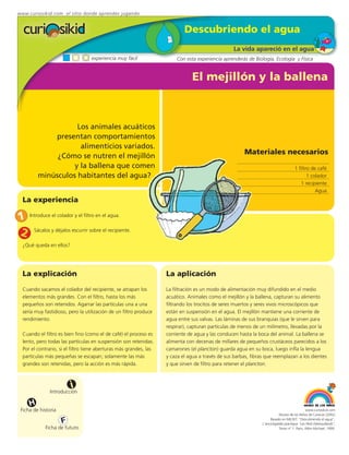 www.curiosikid.com el sitio donde aprendes jugando


                                                                            Descubriendo el agua
                                                                                                   La vida apareció en el agua
                                   experiencia muy fácil                Con esta experiencia aprenderás de Biología, Ecología y Física


                                                                                El mejillón y la ballena



                    Los animales acuáticos
             presentan comportamientos
                     alimenticios variados.
                                                                                                        Materiales necesarios
              ¿Cómo se nutren el mejillón
                   y la ballena que comen                                                                                             1 filtro de café
         minúsculos habitantes del agua?                                                                                                     1 colador
                                                                                                                                         1 recipiente
                                                                                                                                                 Agua
  La experiencia

1 Introduce el colador y el filtro en el agua.
2 Sácalos y déjalos escurrir sobre el recipiente.
  ¿Qué queda en ellos?




  La explicación                                                    La aplicación
  Cuando sacamos el colador del recipiente, se atrapan los          La filtración es un modo de alimentación muy difundido en el medio
  elementos más grandes. Con el filtro, hasta los más               acuático. Animales como el mejillón y la ballena, capturan su alimento
  pequeños son retenidos. Agarrar las partículas una a una          filtrando los trocitos de seres muertos y seres vivos microscópicos que
  sería muy fastidioso, pero la utilización de un filtro produce    están en suspensión en el agua. El mejillón mantiene una corriente de
  rendimiento.                                                      agua entre sus valvas. Las láminas de sus branquias (que le sirven para
                                                                    respirar), capturan partículas de menos de un milímetro, llevadas por la
  Cuando el filtro es bien fino (como el de café) el proceso es     corriente de agua y las conducen hasta la boca del animal. La ballena se
  lento, pero todas las partículas en suspensión son retenidas.     alimenta con decenas de millares de pequeños crustáceos parecidos a los
  Por el contrario, si el filtro tiene aberturas más grandes, las   camarones (el plancton) guarda agua en su boca, luego infla la lengua
  partículas más pequeñas se escapan; solamente las más             y caza el agua a través de sus barbas, fibras que reemplazan a los dientes
  grandes son retenidas, pero la acción es más rápida.              y que sirven de filtro para retener el plancton.



                         i
               Introducción

     H
 Ficha de historia                                                                                                                           www.curiosikid.com
                                                                                                                           Museo de los Niños de Caracas (2002)

                     F                                                                                               Basado en MILSET: "Descubriendo el agua",
                                                                                                                L'enciclopédie practique "Les Petit Debrouillards",
            Ficha de futuro                                                                                                Tomo nº 1. Paris, Albin Michael, 1999.
 