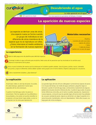 www.curiosikid.com el sitio donde aprendes jugando


                                                                            Descubriendo el agua
                                                                                                   La vida apareció en el agua
                                  experiencia simple                     Con esta experiencia aprenderás de Biología y Ecología


                                                           La aparición de nuevas especies


       Las especies se derivan unas de otras.
        Una especie nueva se forma cuando                                                               Materiales necesarios
               un grupo de individuos es tan
          diferente de otros miembros de la                                                                                          Plastilina
                                                                                                                 Cartulina de color azul claro
      especie que no se reproduce con ellos.
                                                                                                                           Lápices de colores
       ¿Cómo interviene el medio ambiente                                                                                              1 tijera
        en la formación de nuevas especies?                                                                                1 tabla de amasar
                                                                                                              1 bañera con un poco de agua

  La experiencia

1    Sobre la tabla pega arcos de plastilina para delimitar espacios.


2     Sumerge la tabla en agua suficiente para recubrirla. Mete varios de los pececitos que has recortado en la cartulina azul.
     Observa el movimiento de los peces.


3 Vacíapuntos y rayas en diferentes colores los estanques en la bañera quedenelaisladas.diseño). Dispersaponlosgrupo encoloréalos
  con
        un poco la bañera de manera que
                                            (deben quedar varios grupos con mismo
                                                                                         Saca los peces,
                                                                                                          cada
                                                                                                                a secar;
                                                                                                                         una piscina.

 4     Llena nuevamente la bañera. ¿Qué observas?



  La explicación                                              La aplicación
  Al principio, había un solo tipo de peces: los azules.      Los grandes lagos del este africano albergaban numerosísimas especies de peces.
  En cada estanque, aparecieron nuevos tipos                  Con el paso del tiempo, los niveles de agua cambiaron; pequeños lagos se
  separados de los otros estanques.                           formaron cuando el nivel del agua bajó, conduciendo al aislamiento de algunas
                                                              poblaciones de peces durante millones de años. Cuando el agua subió, los peces
  Cuando el nivel del agua subió, los peces se                tenían diferencias entre ellos, por lo tanto no podían reproducirse. Aparecieron
  encontraron. Pero los rayados son muy diferentes a          nuevas especies, a tal punto que los grandes lagos africanos están hoy poblados
  los punteados; y los azules con puntos amarillos no         de una gran variedad de peces: algunos se alimentan con algas hurgando en la
  se parecen a los que tienen rayas verdes; y unos no         arena buscando invertebrados, otros son depredadores. Todos ellos ocupan una
  se mezclan con los otros para reproducirse.                 larga gama de nichos ecológicos.



                         i
               Introducción

     H
 Ficha de historia                                                                                                                           www.curiosikid.com
                                                                                                                           Museo de los Niños de Caracas (2002)

                     F                                                                                               Basado en MILSET: "Descubriendo el agua",
                                                                                                                L'enciclopédie practique "Les Petit Debrouillards",
            Ficha de futuro                                                                                                Tomo nº 1. Paris, Albin Michael, 1999.
 