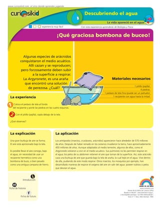 www.curiosikid.com el sitio donde aprendes jugando


                                                                                Descubriendo el agua
                                                                                                      La vida apareció en el agua
                                    experiencia muy fácil                   Con esta experiencia aprenderás de Biología y Física


                                                    ¡Qué graciosa bombona de buceo!


              Algunas especies de arácnidos
            conquistaron el medio acuático.
                 Allí cazan y se reproducen;
            pero forzosamente deben subir
                    a la superficie a respirar.
              La Argyronete, es una araña                                                                  Materiales necesarios
               que encontró una solución
                                                                                                                                 1 pitillo (pajilla)
                 de perezosa. ¿Cuál?                                                                                                     4 piedras
                                                                                                    1 pedazo de tela fina (puede ser un pañuelo)
  La experiencia                                                                                           1 recipiente con agua hasta la mitad



1 del recipiente y ponle telapiedras en las cuatro esquinas.
  Coloca el pedazo de
                         las
                              al fondo



  2    Con el pitillo (pajilla), sopla debajo de la tela.

  ¿Qué observas?




  La explicación                                   La aplicación
  Una gran burbuja de aire se forma.               Los artrópodos (insectos, crustáceos, arácnidos) aparecieron hace alrededor de 570 millones
  El aire está aprisionado bajo la tela.           de años. Después de haber reinado en los océanos invadieron la tierra, hace aproximadamente
                                                   450 millones de años. Aunque adaptados al medio terrestre, algunos de ellos, como el
  Es posible llevar el aire consigo, bajo          Argyronete volvieron a vivir en el medio acuático. Sus pulmones no les permiten respirar en
  el agua, sin necesidad de usar un                el agua; los pelos de su abdomen retienen el aire que toman de la superficie. Así, este arácnido
  recipiente hermético como una                    caza una burbuja de aire que guarda bajo la tela de araña, la cual tejió en el agua. Vive dentro
  bombona de buzo, o bien pesado                   de ella, pudiendo de este modo respirar. Otros insectos, los mosquitos por ejemplo, han
  como una antigua campana de hierro.              desarrollado maneras de respirar el oxígeno del aire sin salir del agua: poseen tubitos o pelos
                                                   que desvían el agua.



                         i
               Introducción

      H
 Ficha de historia                                                                                                                               www.curiosikid.com
                                                                                                                               Museo de los Niños de Caracas (2002)

                     F                                                                                                   Basado en MILSET: "Descubriendo el agua",
                                                                                                                    L'enciclopédie practique "Les Petit Debrouillards",
             Ficha de futuro                                                                                                   Tomo nº 1. Paris, Albin Michael, 1999.
 