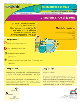 www.curiosikid.com el sitio donde aprendes jugando


                                                                              Descubriendo el agua
                                                                                                Las transformaciones del agua
                                 experiencia muy fácil                     Con esta experiencia aprenderás de Biología


                                                                            ¿Para qué sirve el jabón?

               ¡A comer! e inmediatamente,
                      nos lavamos las manos.
            Si un poco de agua es suficiente                                                             Materiales necesarios
                para quitar el polvo, el jabón
                                                                                                                                              Aceite
                 es indispensable para tener
                                                                                                                                      Jabón líquido
           las manos impecables. ¿Por qué?                                                                                                     Agua
                                                                                                                                              1 vaso
                                                                                                                                  1 paleta de helado
   La experiencia

1     Llena el vaso con agua hasta la mitad.



2     Vierte un poco aceite sobre el agua.



  3 Remuévelos con ayuda de la paleta.
         ¿Qué observas?

 4     Ahora agrega un poco de jabón líquido al vaso y remuévelo de nuevo.

       ¿Qué sucede?



   La explicación                                                              La aplicación
   El aceite flota en el agua sin mezclarse. Cuando removemos el agua          El jabón ¡qué hallazgo!
   y el aceite, se forman burbujas; luego el aceite vuelve a flotar como
   al principio.                                                               Normalmente el agua se desliza sobre la suciedad sin arrastrarla.
                                                                               Por ejemplo, el agua sola no puede "mojar" el aceite o la grasa,
   En cambio, cuando se remueven el aceite, el agua y el jabón, se             ya que éstos no se mezclan con ella quedando en la sartén o en
   forman burbujas que se quedan suspendidas en el agua. El jabón              las manos. En cambio, al jabón le gusta tanto el agua como el
   permite al aceite separarse en burbujas que no se vuelven a mezclar.        aceite y la suciedad que se mezclan con él que, a su vez mezclado
   El jabón permite la mezcla del aceite y el agua.                            con el agua, le permite irse junto con el agua al enjuaguar.


                          i
               Introducción

     H
 Ficha de historia                                                                                                                            www.curiosikid.com
                                                                                                                            Museo de los Niños de Caracas (2002)

                     F                                                                                                Basado en MILSET: "Descubriendo el agua",
                                                                                                                 L'enciclopédie practique "Les Petit Debrouillards",
            Ficha de futuro                                                                                                 Tomo nº 1. Paris, Albin Michael, 1999.
 