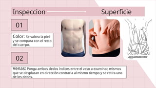 Presentación sobre la exploración abdominal | PPT