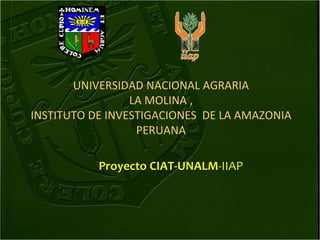 UNIVERSIDAD NACIONAL AGRARIA
LA MOLINA ,
INSTITUTO DE INVESTIGACIONES DE LA AMAZONIA
PERUANA
Proyecto CIAT-UNALM-IIAP
 