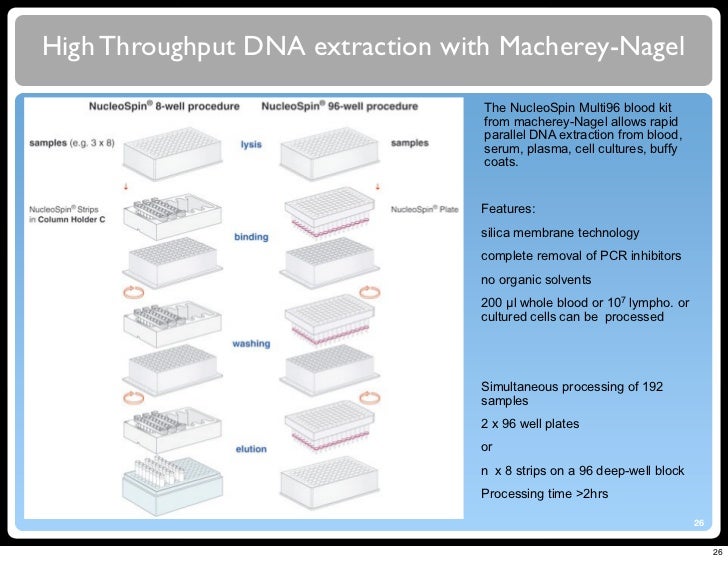 molecular diagnostic automation