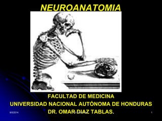 NEUROANATOMIA
FACULTAD DE MEDICINA
UNIVERSIDAD NACIONAL AUTÓNOMA DE HONDURAS
DR. OMAR DIAZ TABLAS.
8/5/2014 Dr.Omar Diaz 1
 